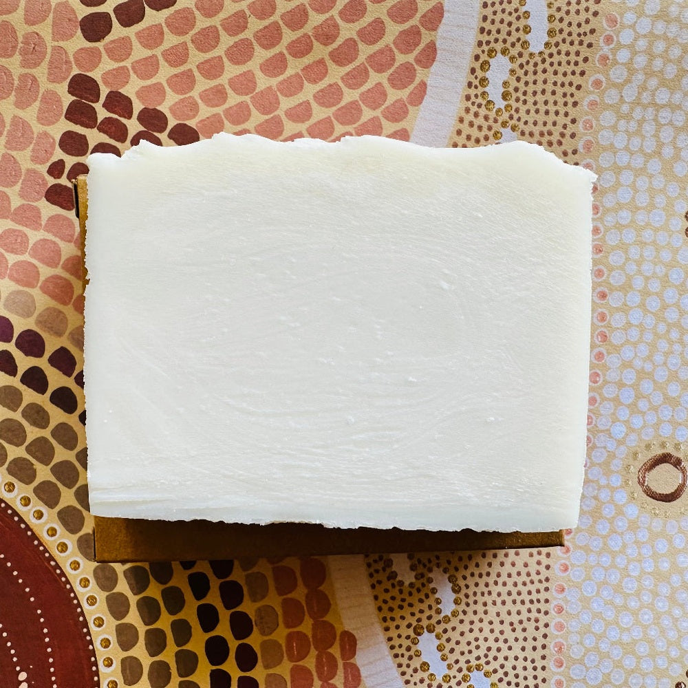 The Family Hub Zero Waste Stain and Dish Wash Bar.