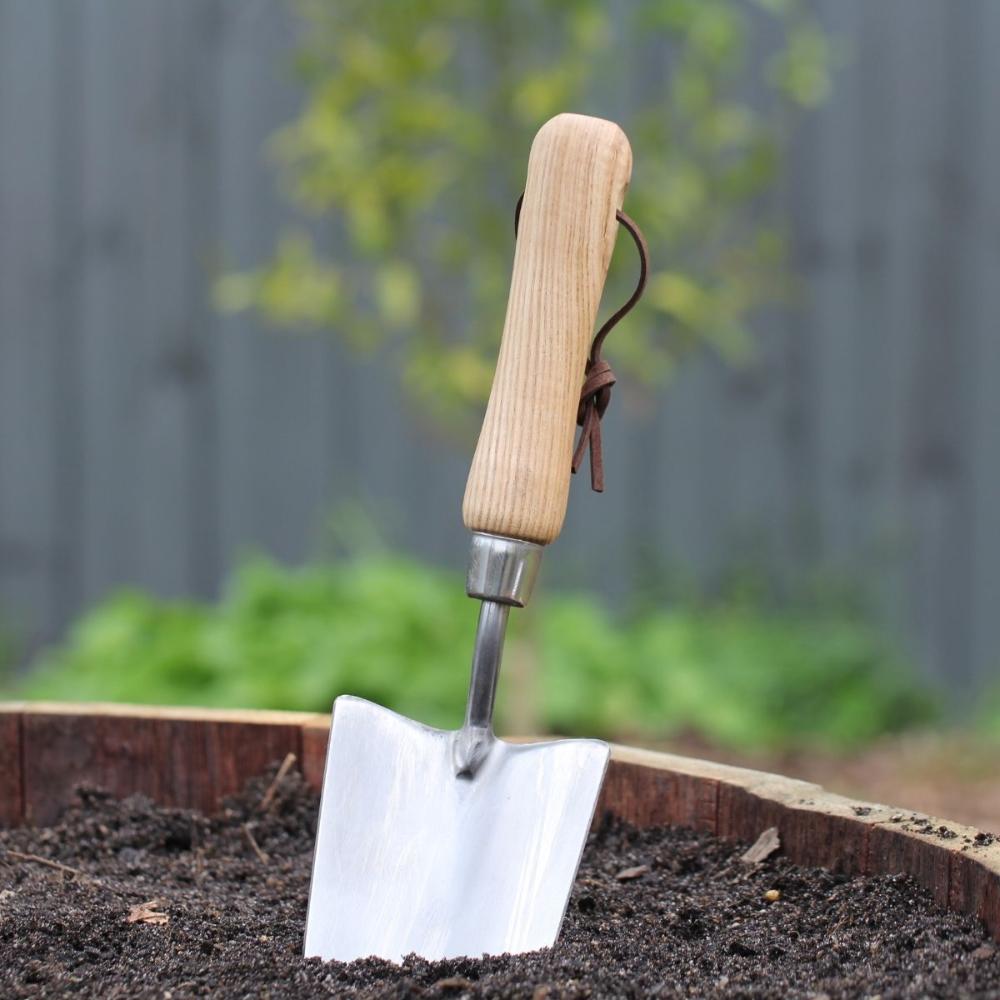 Stainless Steel Trowel in Garden Pot.