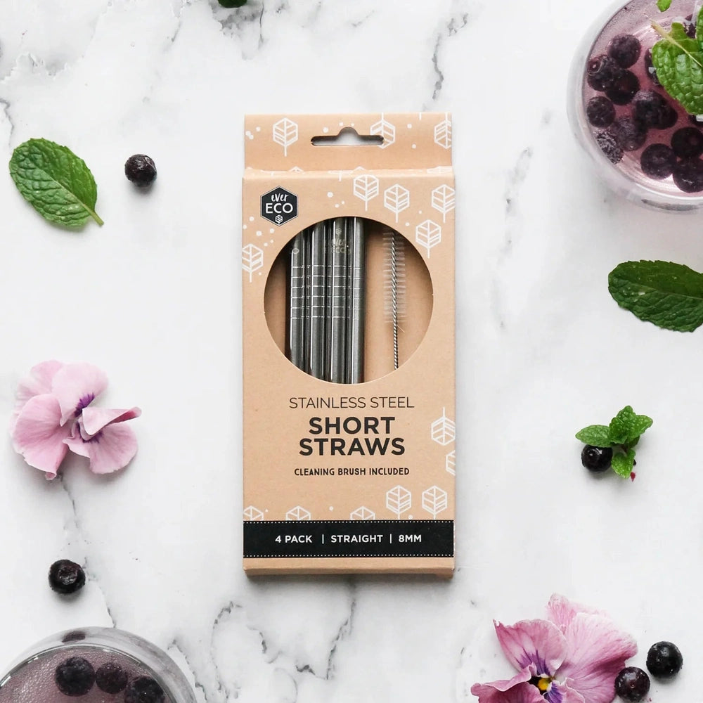 Ever Eco Stainless Steel Short Straws With Cleaning Brush - 4 Pack