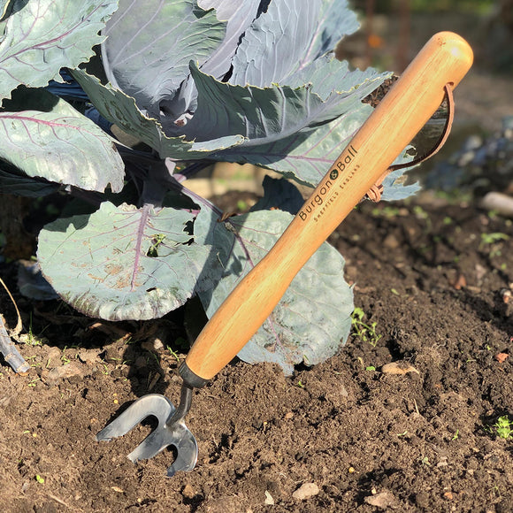 Stainless Steel Mid Handled Fork by Burgon & Ball