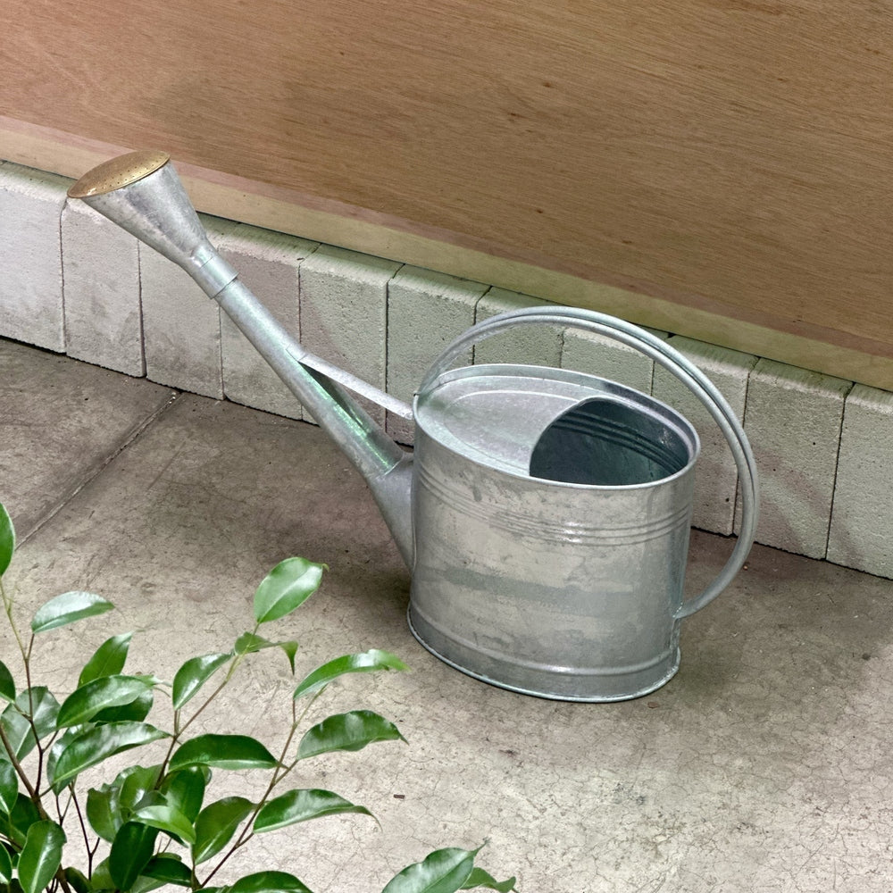 9L Galvanised Metal Waterfall Watering Can - Large Item