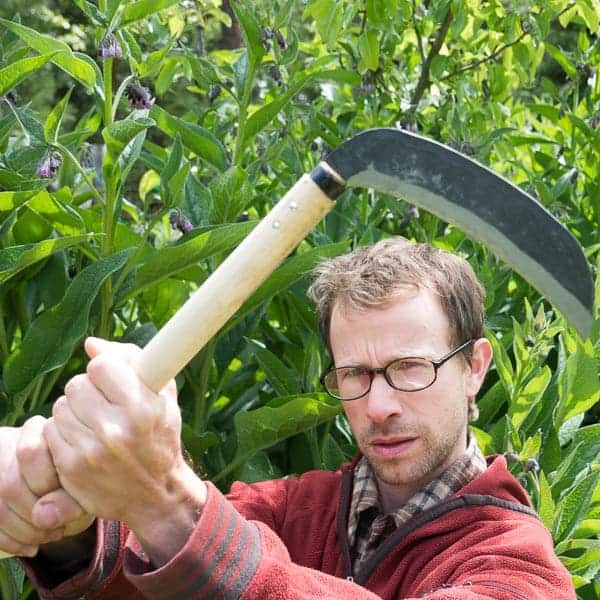 Youngju Korean Grass Sickle