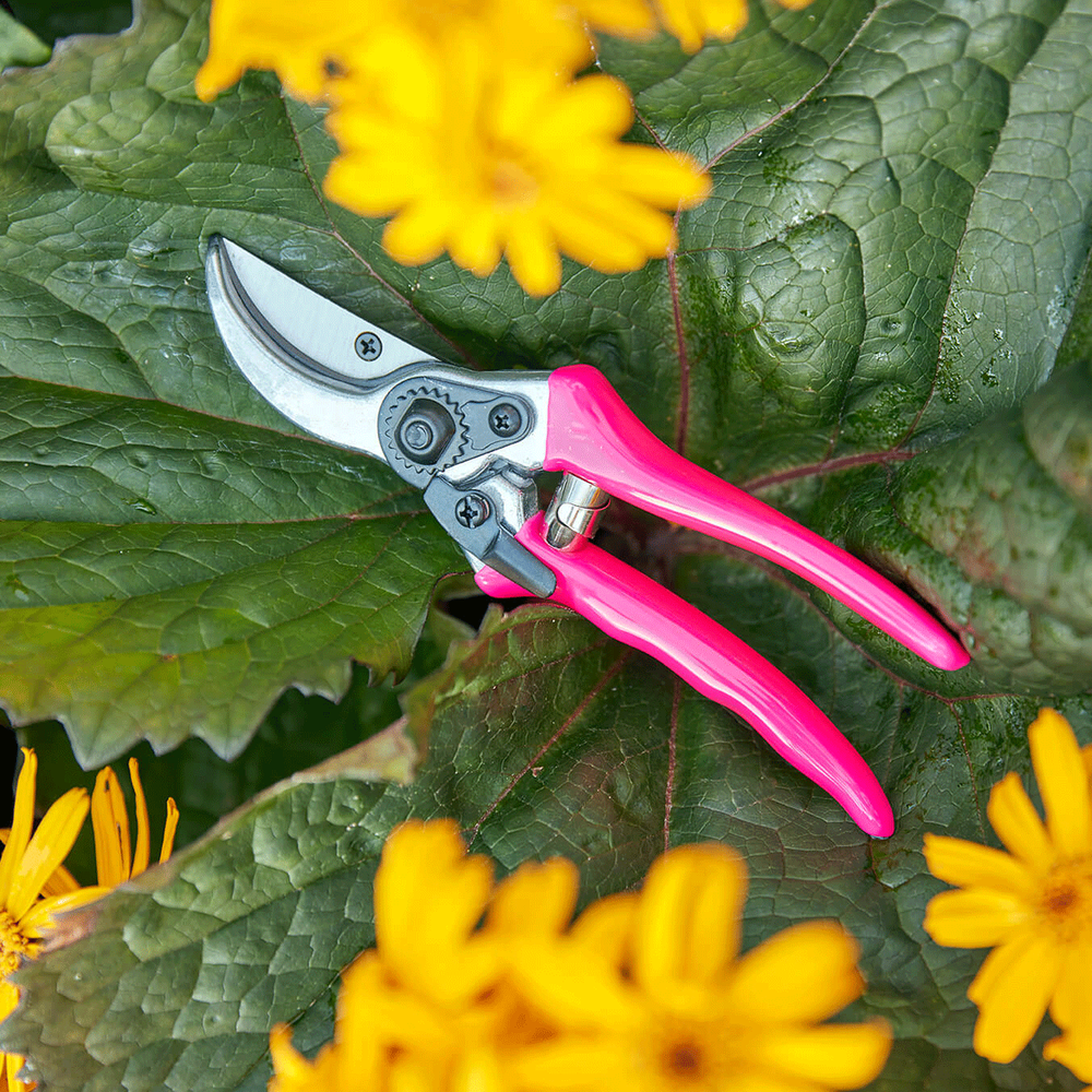 Florabrite Bypass Secateurs, from Burgon & Ball