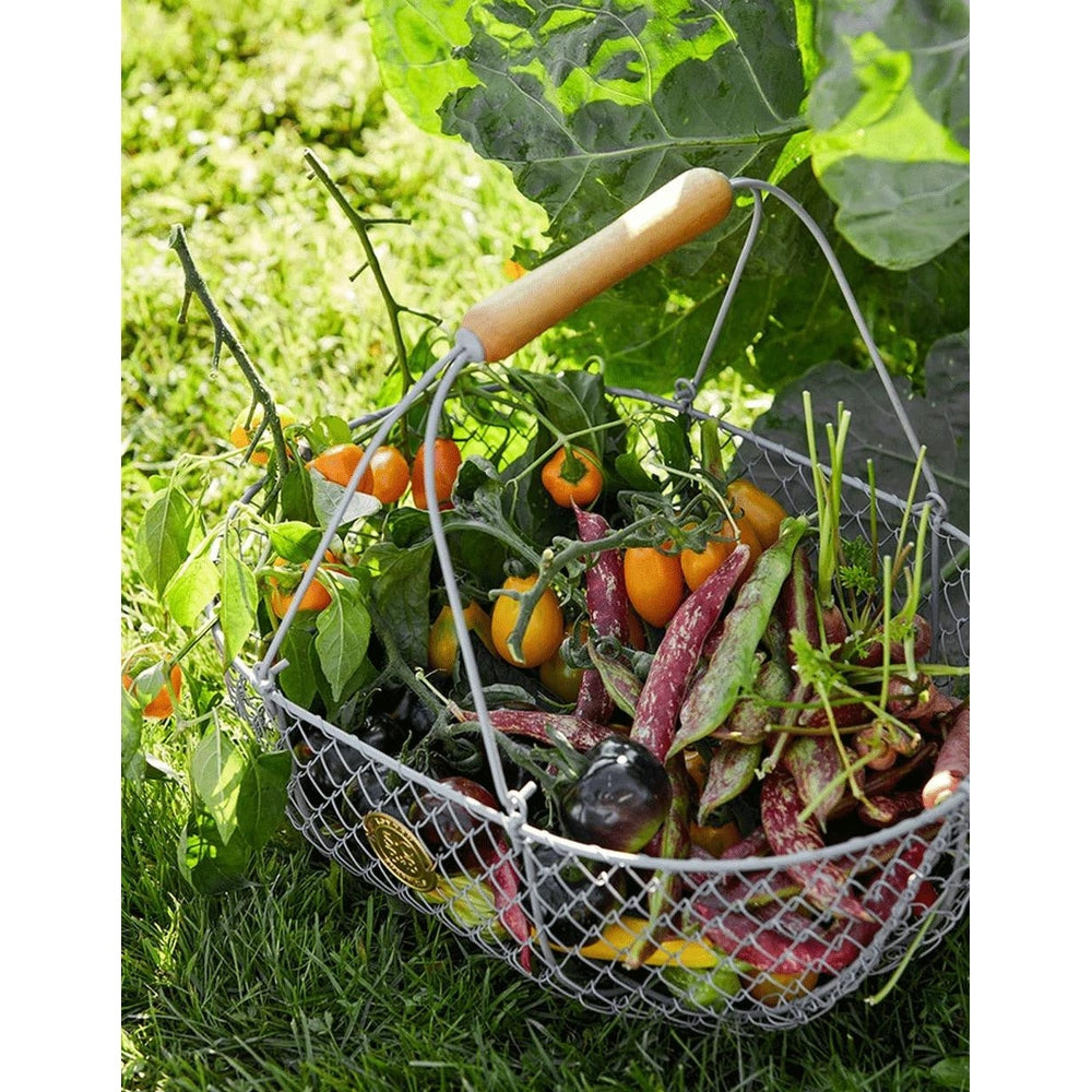 Sophie Conran Metal Mesh Harvesting Basket - Grey