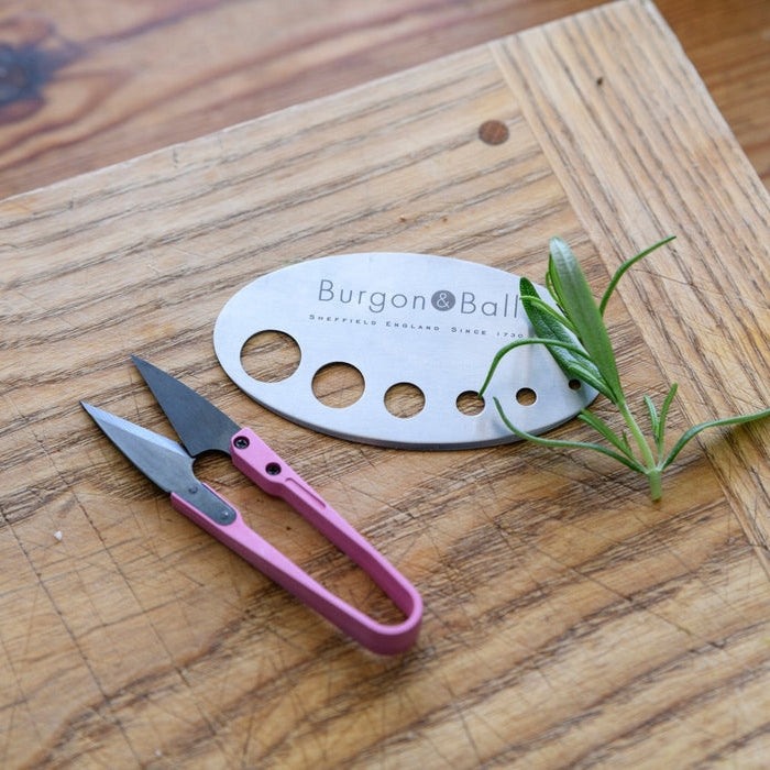 RHS Herb Snip and Herb Stripper Set - Asteraceae