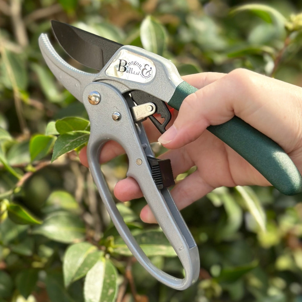 Ratchet Pruner by Burgon & Ball