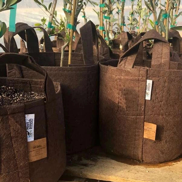 Root Pouch with Handles - 16L