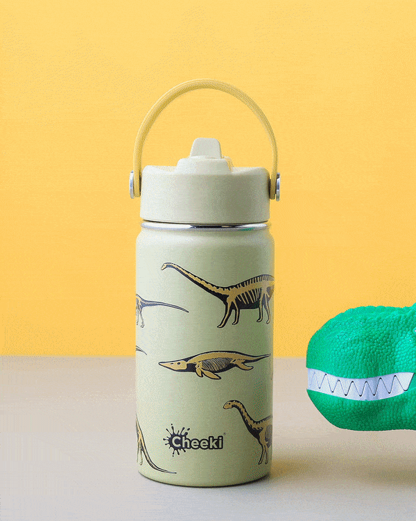 CHEEKI 400ml Insulated Little Adventurer Bottle