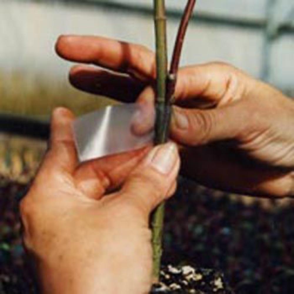 how to use grafting tape