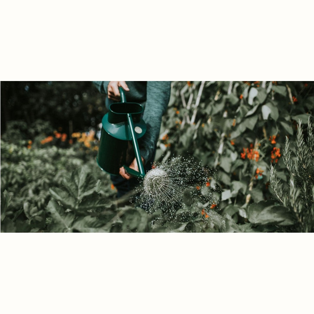 9L Haws Metal Traditional Can - “The Bearwood Brook”