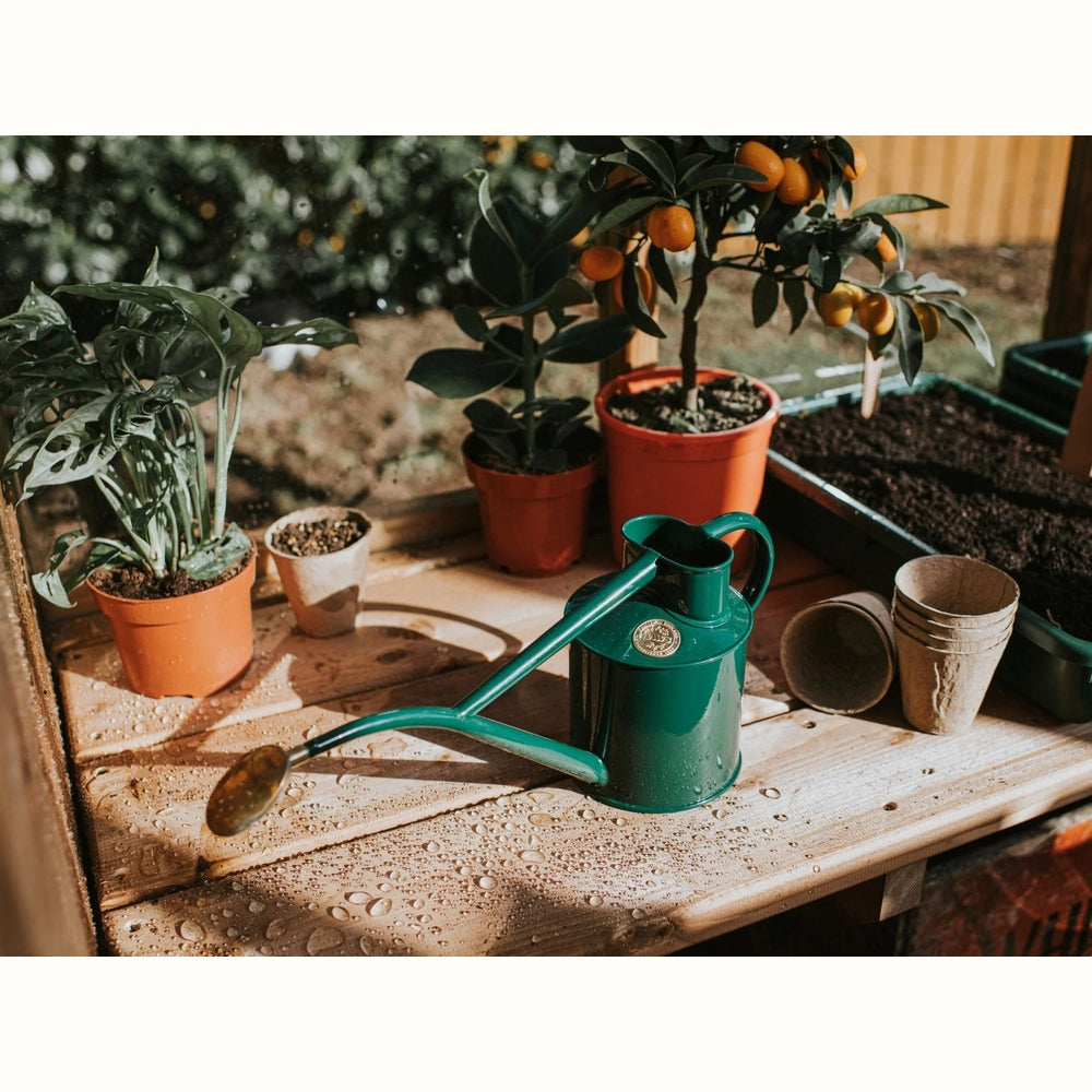 The Rowley Ripple 1L Watering Can