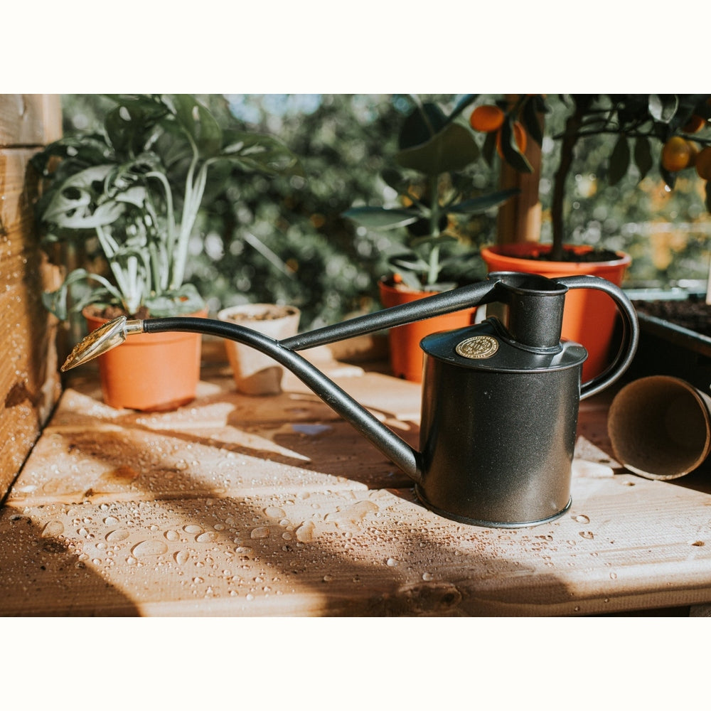 The Rowley Ripple 1L Watering Can