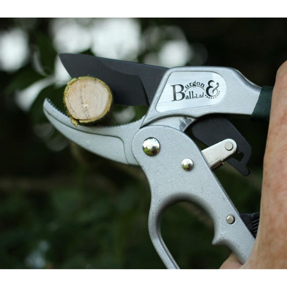 Ratchet Pruner by Burgon & Ball