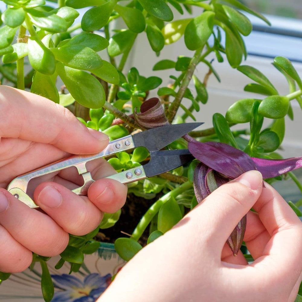 Mini Snips for the Garden