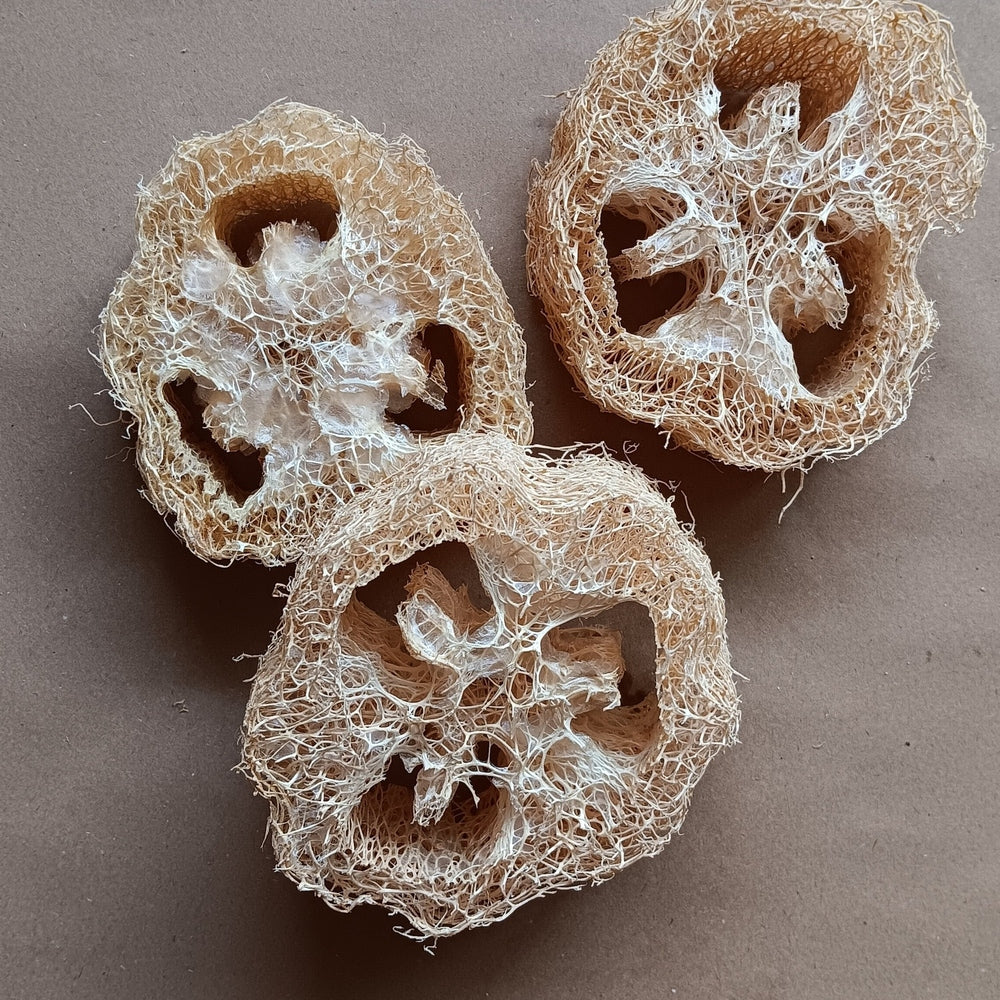 Cleopatra Loofah by Eco Max