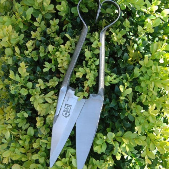 Topiary and Trimming Shears (Large), by Burgon &Ball