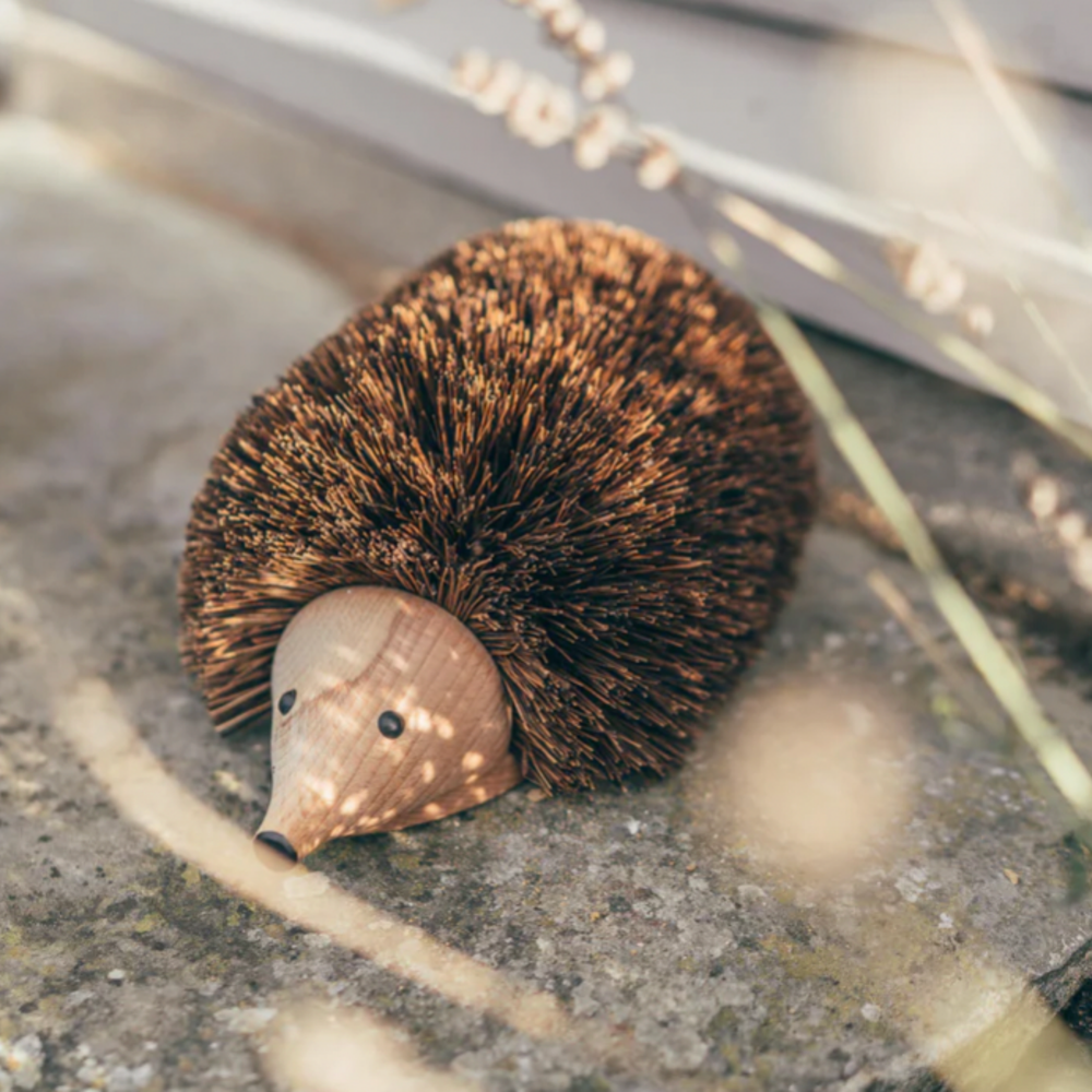 Hedgehog Shoe Cleaner, from Redecker