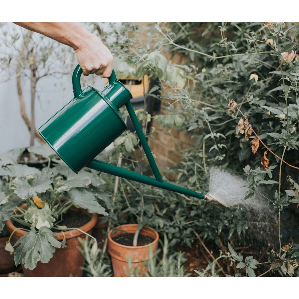 4.5L Haws Metal Original Watering Can - “The Warley Fall”