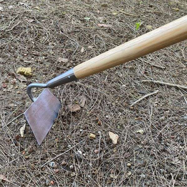 Collinear (Dutch) Hoe With Long Handle - Large Item