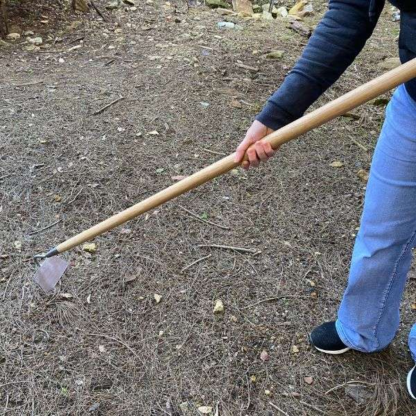 Collinear (Dutch) Hoe With Long Handle - Large Item