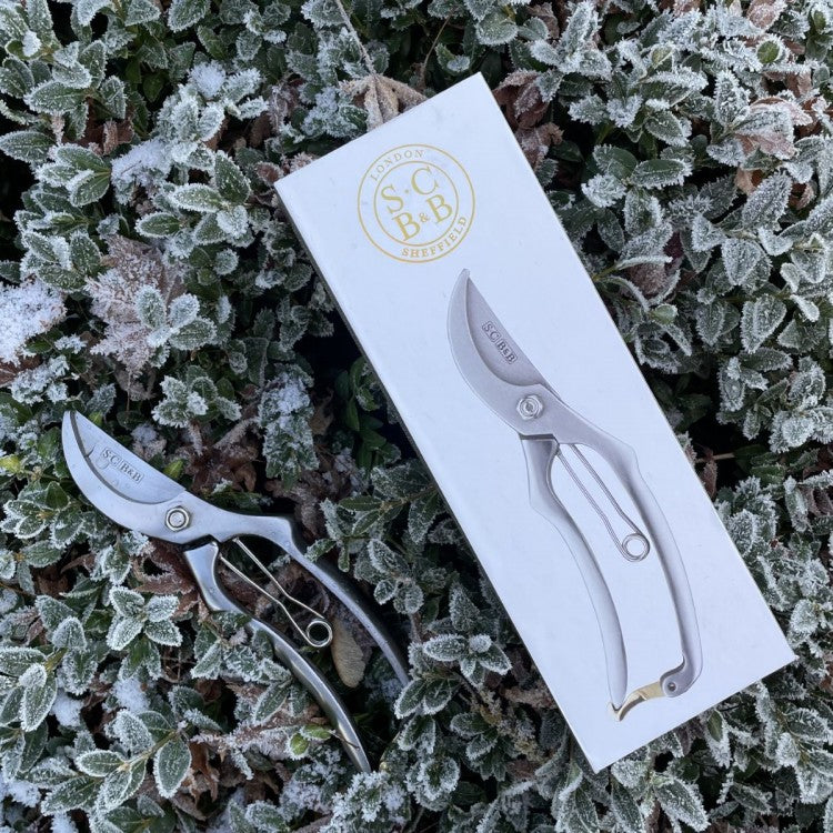 Sophie Conran - Secateurs (Gift Boxed)