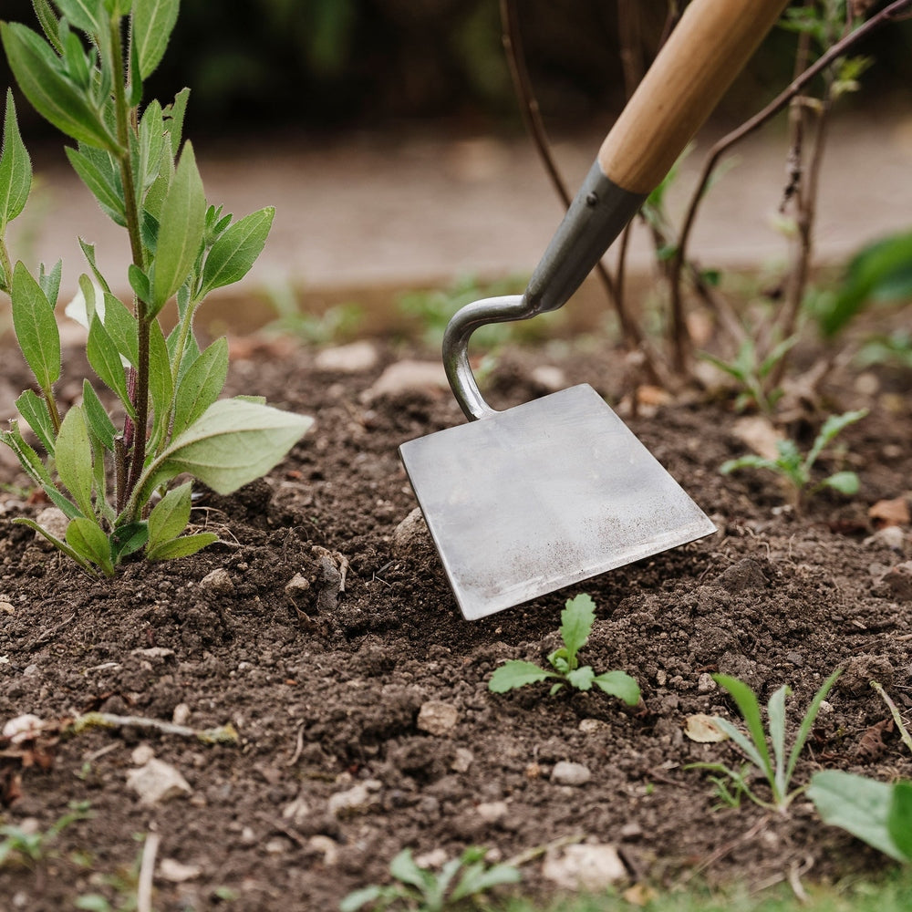 Stainless Steel Draw Hoe, Burgon & Ball - Large Item