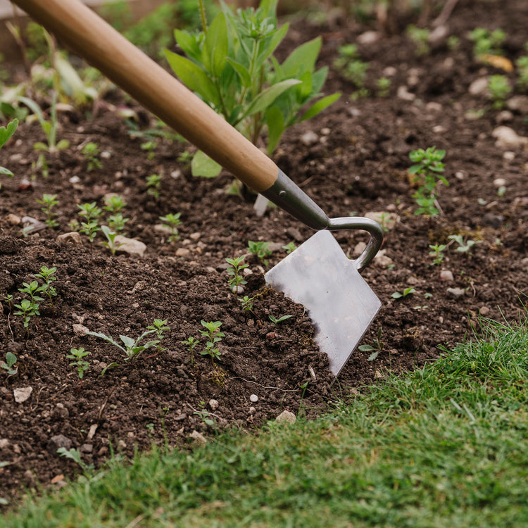 Stainless Steel Draw Hoe, Burgon & Ball - Large Item