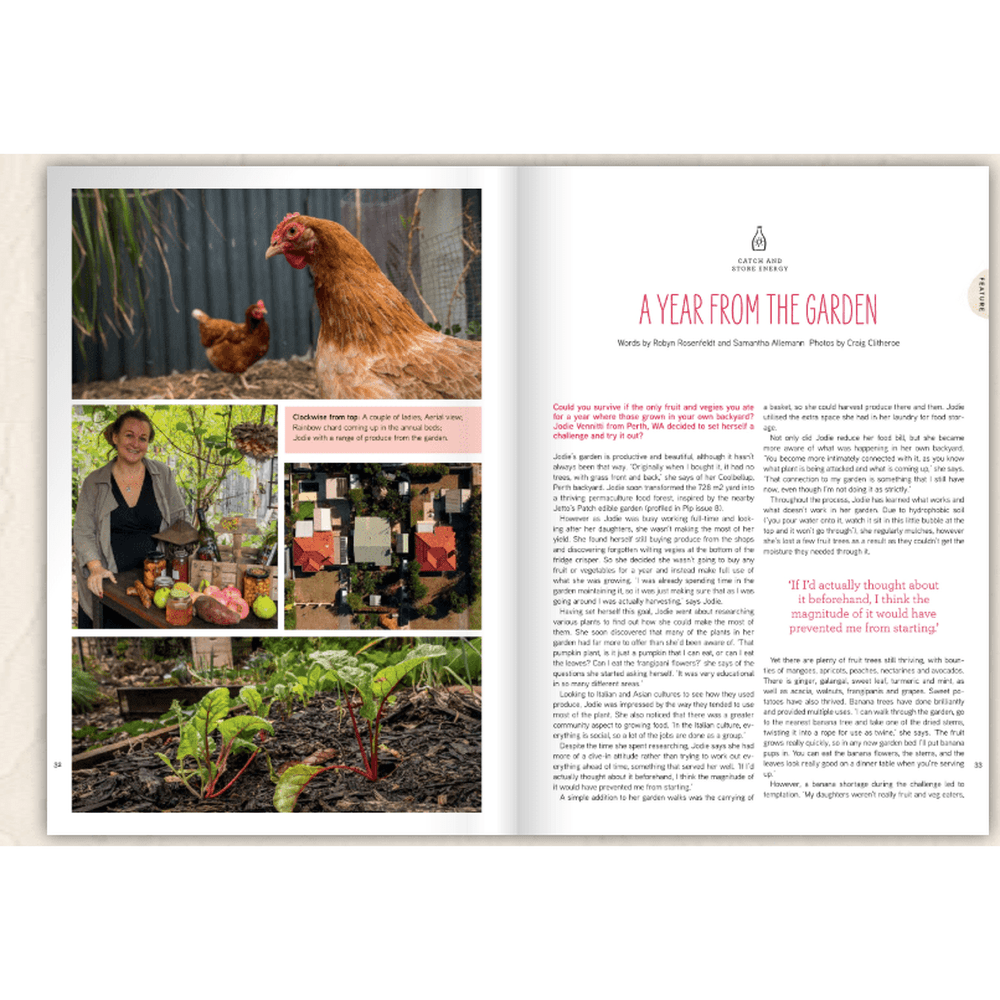 Pip Magazine - Issue 11 - The Cow Issue