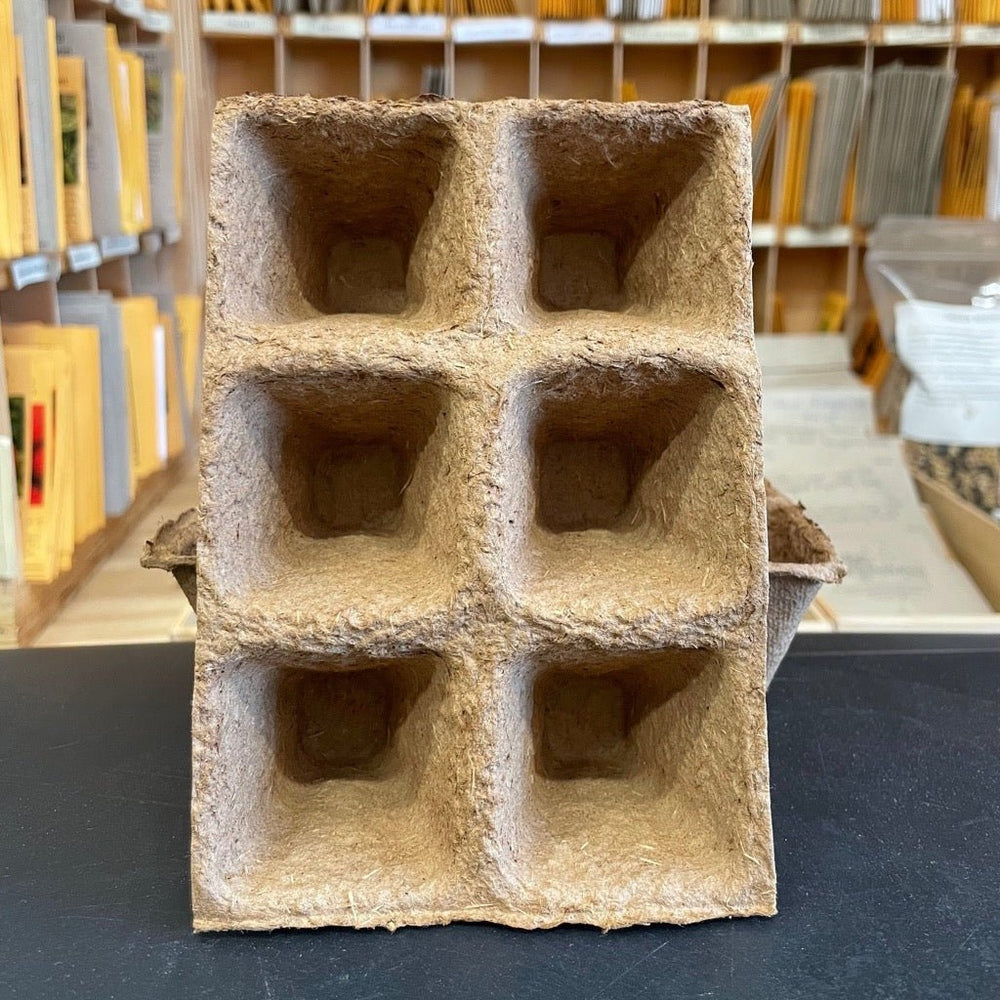 Wood Pulp Six Cell Seedling Punnet