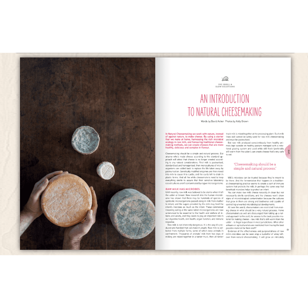 Pip Magazine - Issue 11 - The Cow Issue