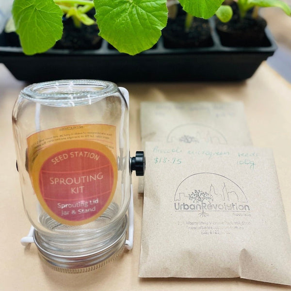 Glass Jar Sprouting Kit with Stand 500ml Urban Revolution Urban