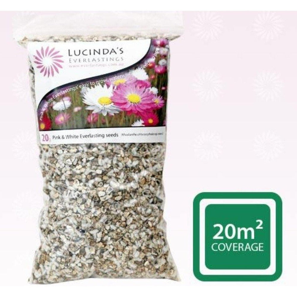 A 20 Gram Pack of Lucinda's Everlastings Wildflower Seeds