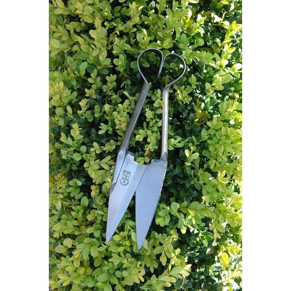 Topiary and Trimming Shears (Small) from Burgon & Ball, on a Hedge