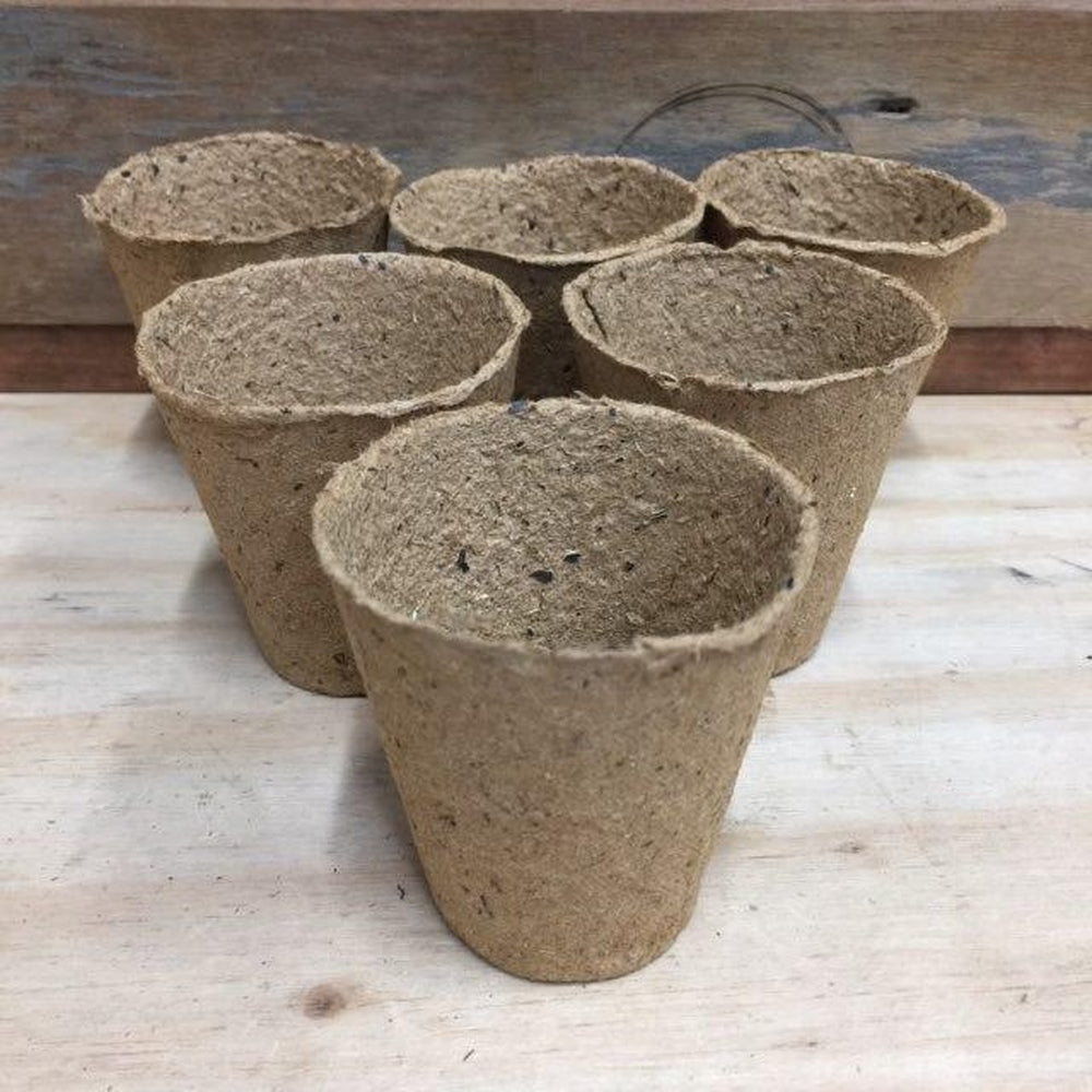 6 Biodegradable Romberg Propagation Pots  Edit alt text