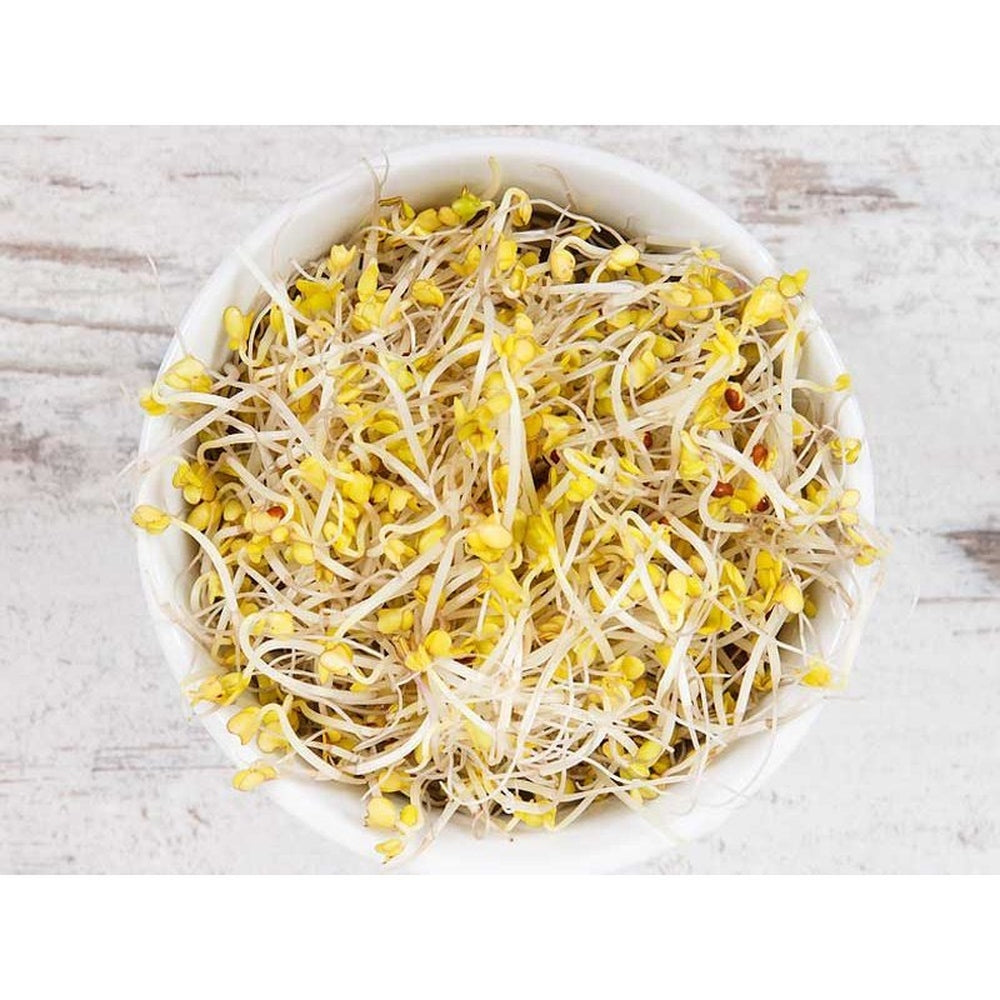 Microgreen/Sprouting Seeds, 100g - Broccoli - Urban Revolution