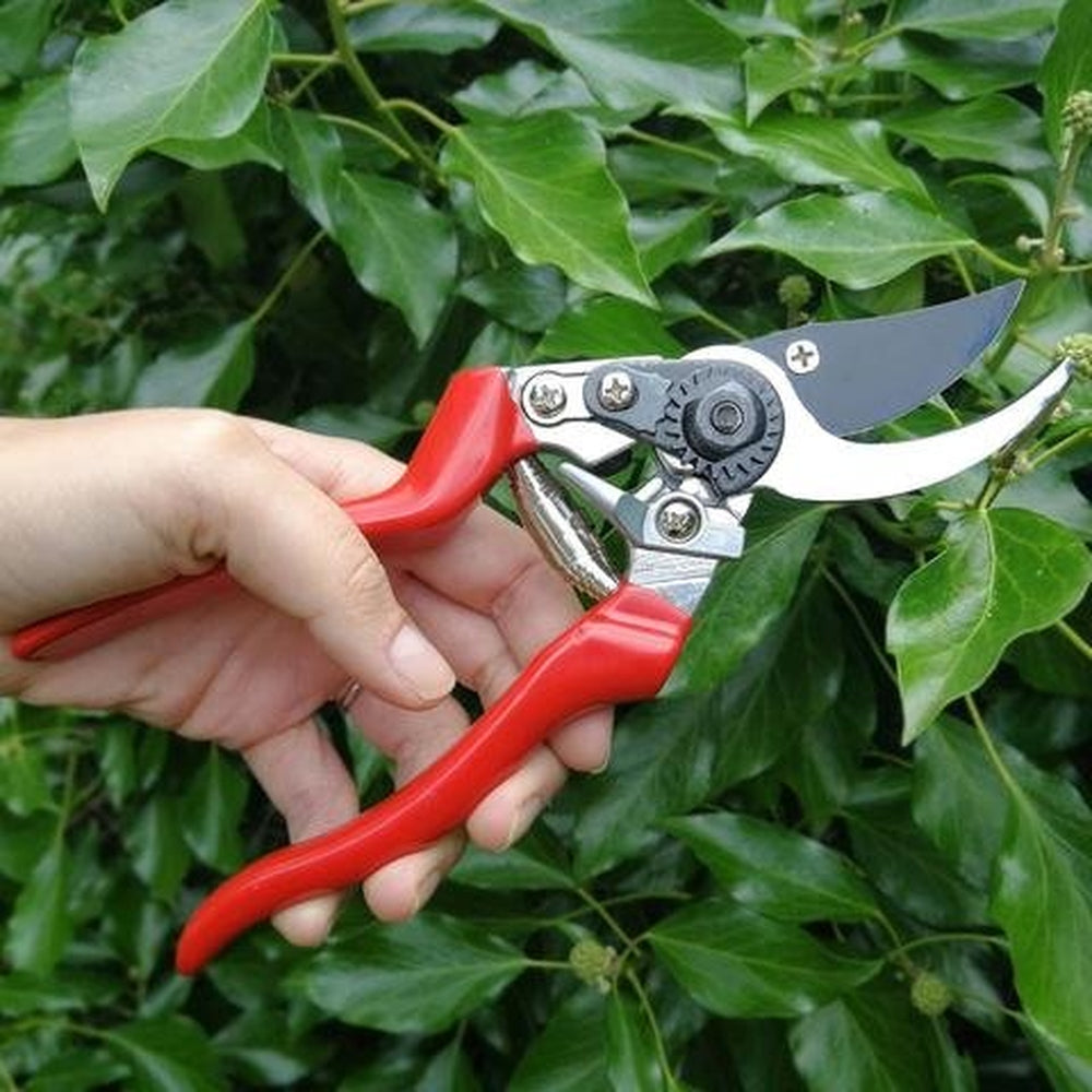 Left Handed Bypass Secateurs by Burgon & Ball