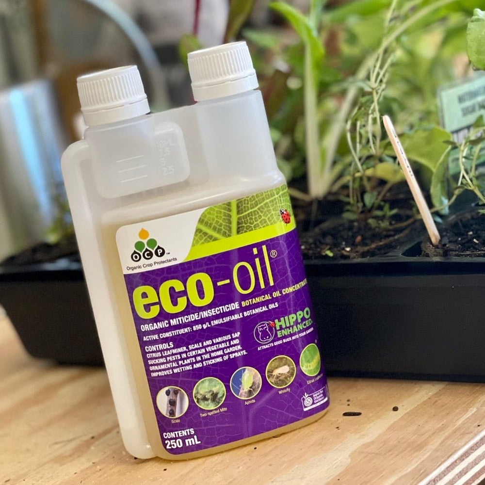 Bottle of Organic Insecticide Eco-Oil for Natural Garden Pest Control