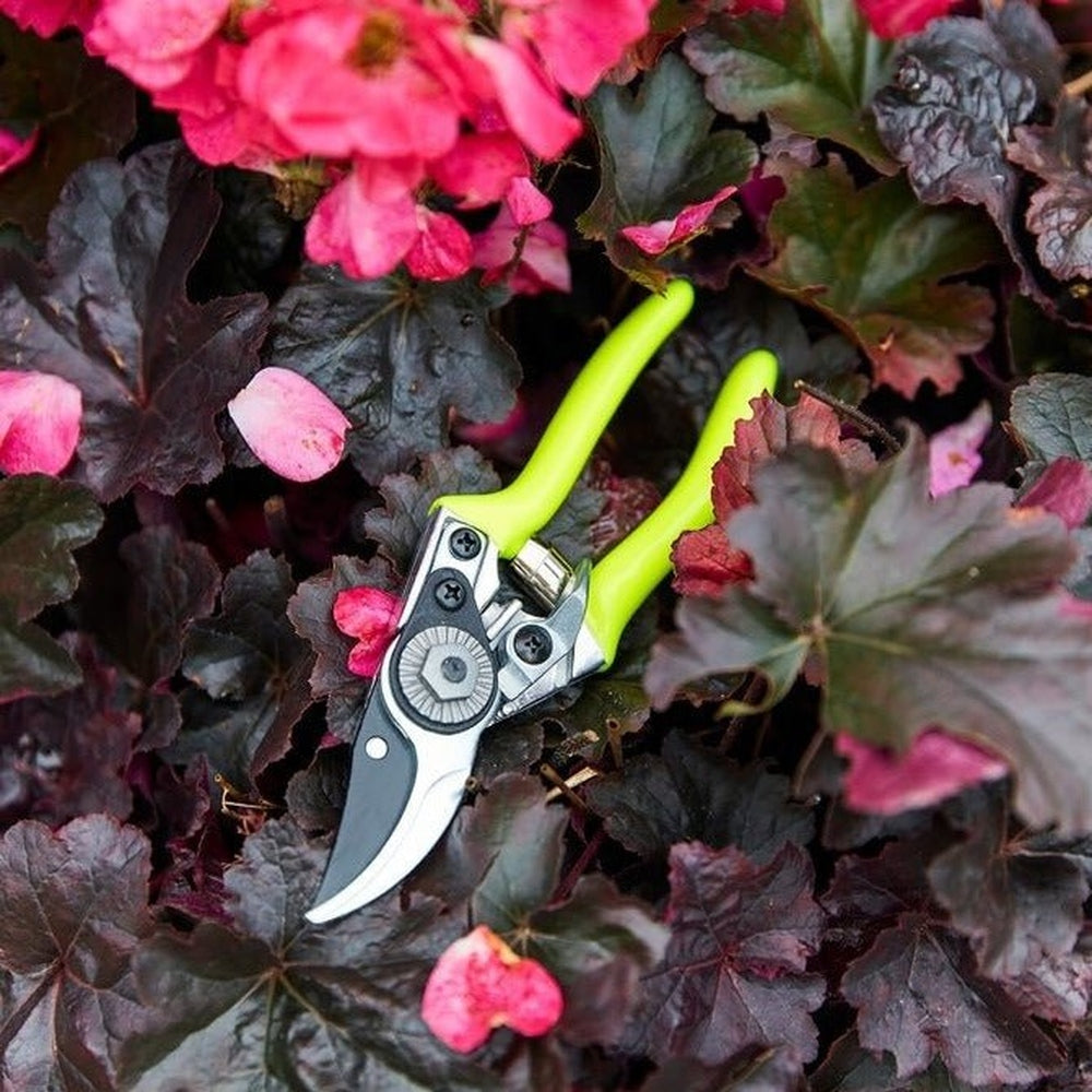 Florabrite Pocket Pruner, from Burgon & Ball - Urban Revolution