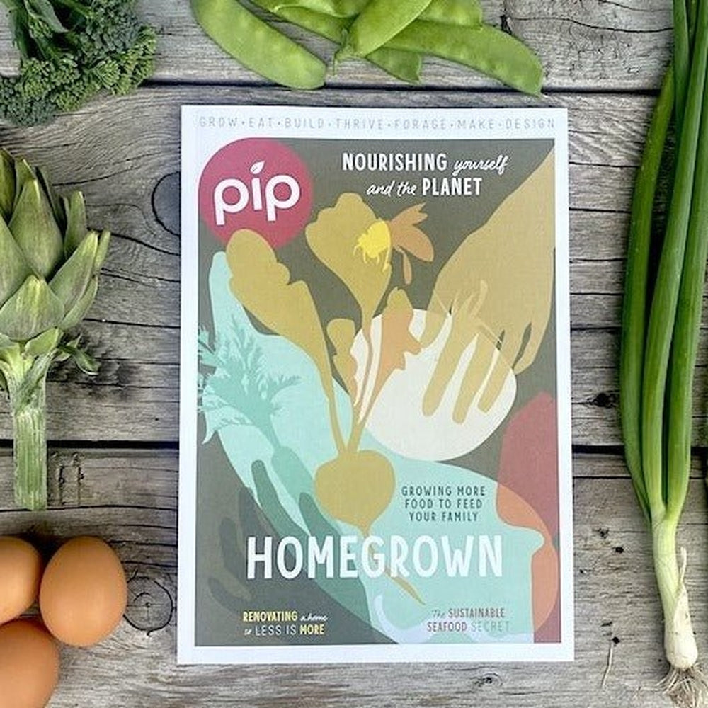 Pip Magazine Issue 26 Cover