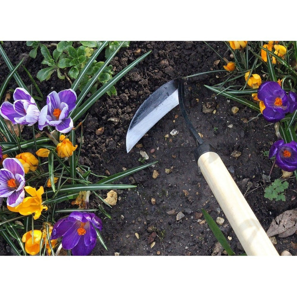 Long Handled Razor Hoe - Large Item - Urban Revolution