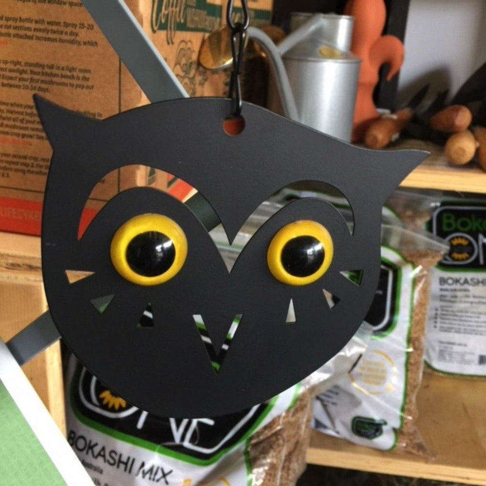 Metal Scare Owl Face with Reflective Eyes Close Up