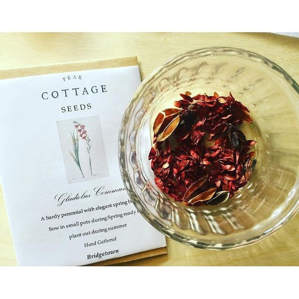 Open Pollinated Seeds - Pear Cottage - Urban Revolution