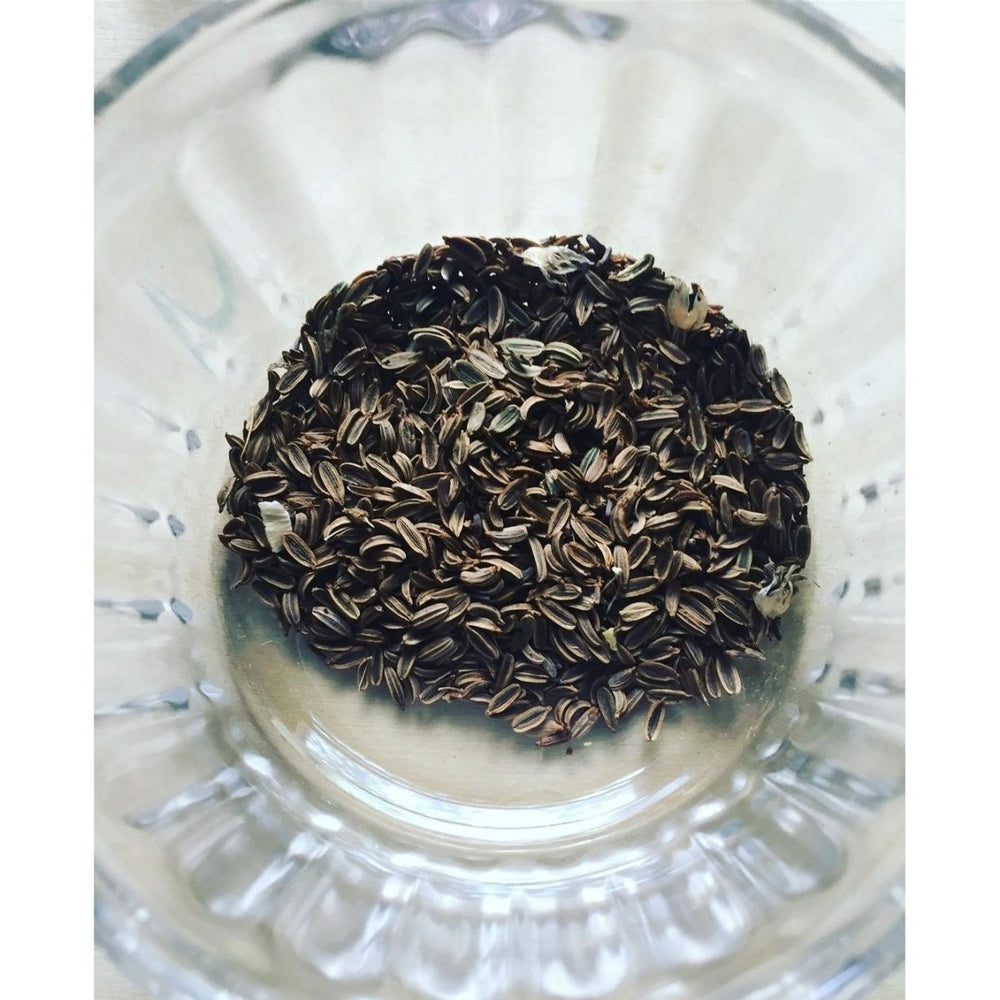 Open Pollinated Seeds - Pear Cottage - Urban Revolution