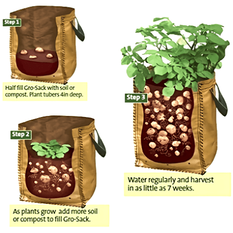 Potato Grow Bag - 40 x 55cm