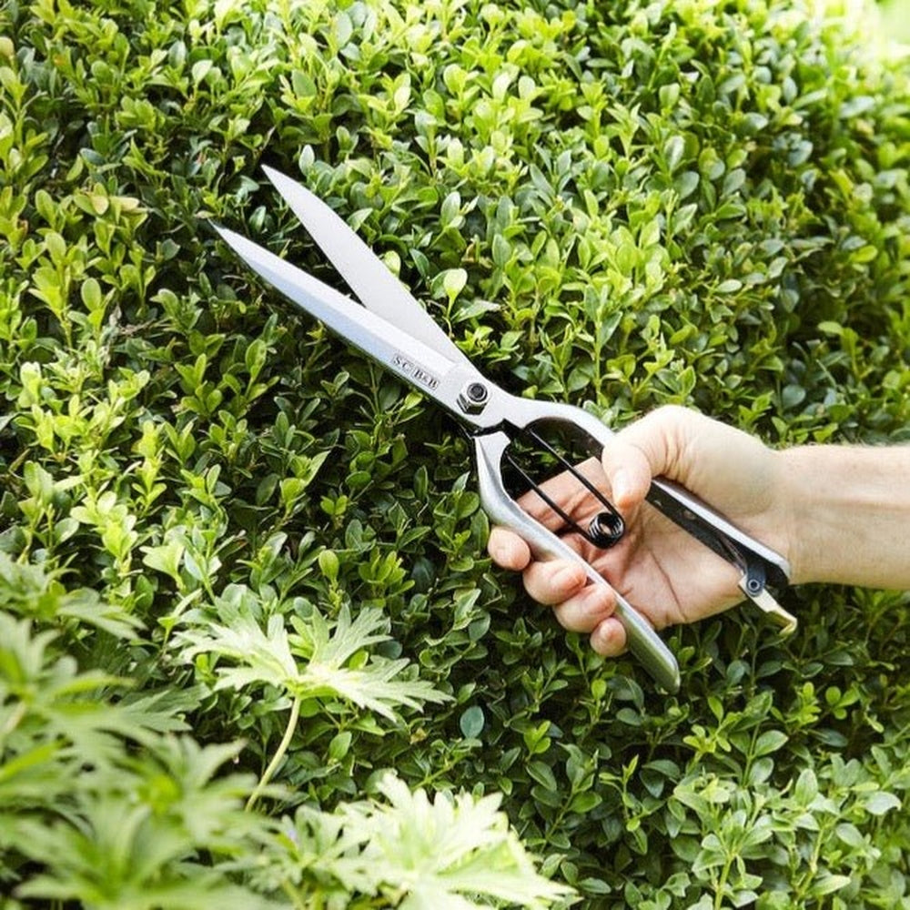 Sophie Conran Topiary Shear in Action in the Garden