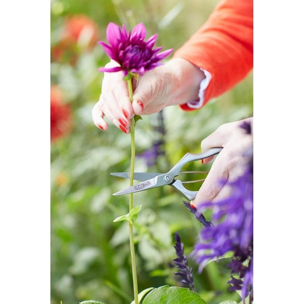 Sophie Conran - Precision Secateurs