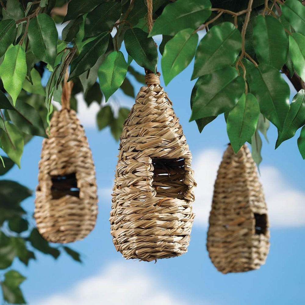 Ryset Roosting Pocket Garden