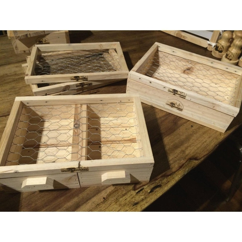 Urban Revolution Australia Sowing Template Wooden Seedling Flat - Pine - Rippa Woodturning