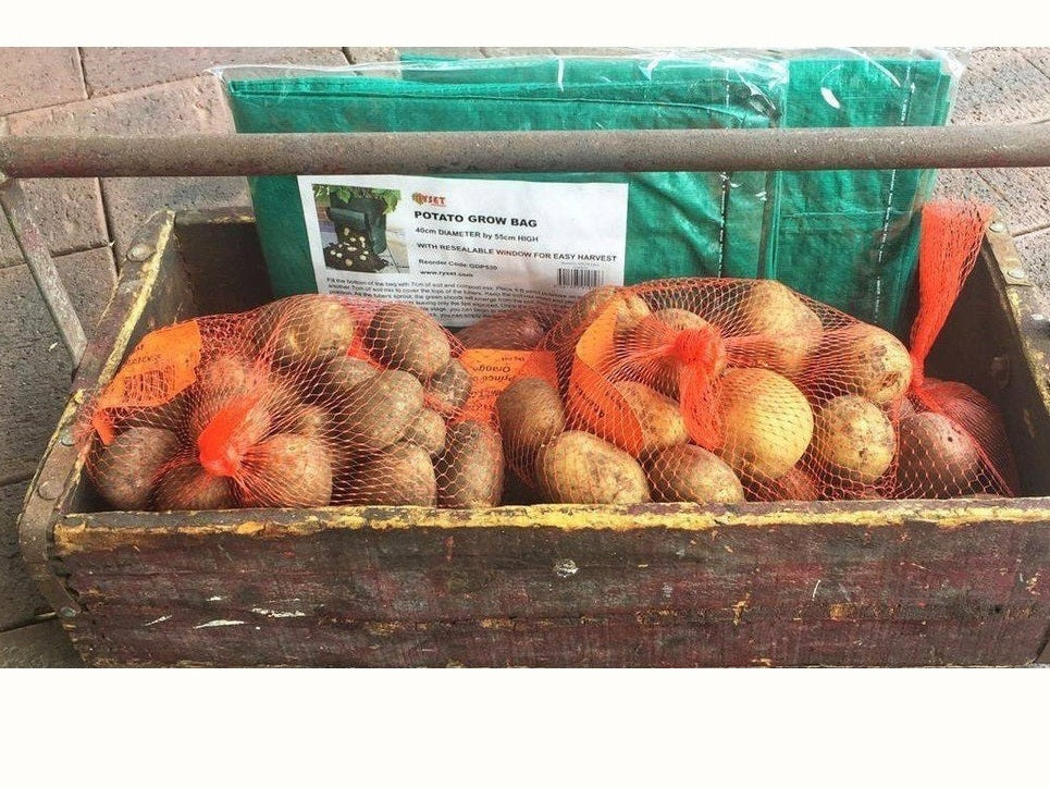 Seed potatoes for sale with potato grow bags