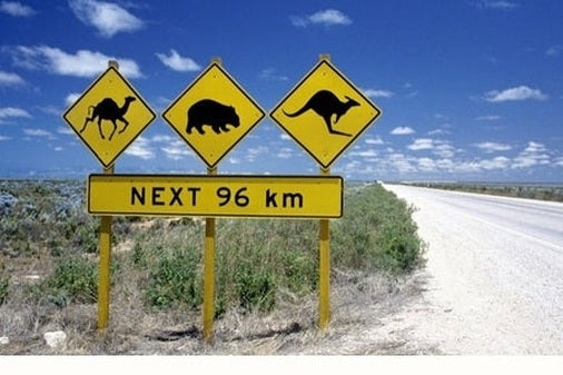 Australian outback with road signs